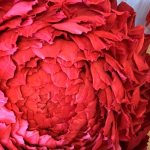 Большой цветок из гофрированной бумаги для новичков