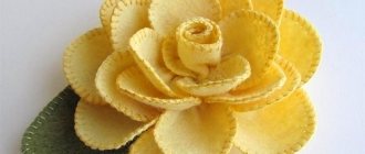 Цветы из фетра своими руками