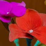 цветы из проволоки своими руками