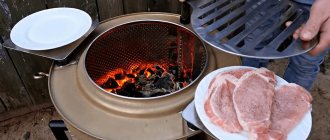 фото мангала из барабана стиральной машины, сделанный своими руками