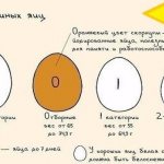 Категории куриных яиц