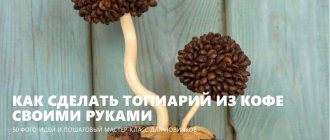 Кофейный топиарий своими руками