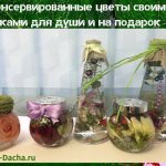 консервированные цветы