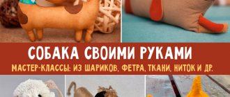 мастер классы по созданию собакам