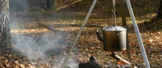 Металлическая тренога