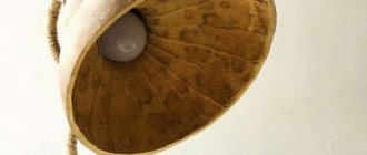 поделки из кокосовой скорлупы