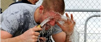 Самодельный перцовый аэрозоль: подробные инструкции и приемы