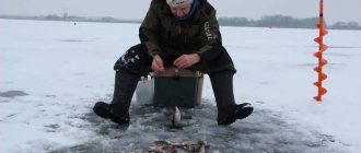 Секреты изготовление мормышки «Лесотка» своими руками