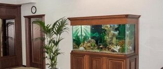 Тумбы под аквариумы своими руками (подставки, аквариумная тумбочка, стол, стойка): изготовление, как сделать, сборка
