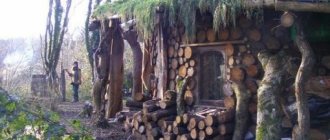 В руках мастера любой подручный материал может оказаться строительным.